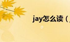 jay怎么读（jay的意思）