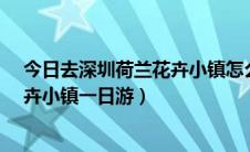 今日去深圳荷兰花卉小镇怎么去?（深圳旅行攻略之荷兰花卉小镇一日游）