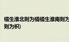 橘生淮北则为橘橘生淮南则为之枳(橘生淮南则为橘橘生淮北则为枳)