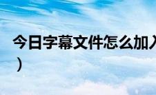 今日字幕文件怎么加入视频（字幕文件怎么用）