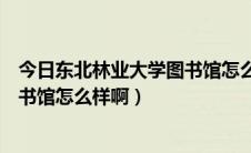 今日东北林业大学图书馆怎么样啊研究生（东北林业大学图书馆怎么样啊）