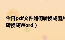 今日pdf文件如何转换成图片（怎么把图片形式的pdf文件转换成Word）