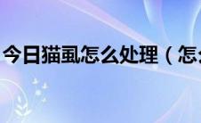 今日猫虱怎么处理（怎么去除猫虱 百度经验）