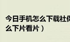 今日手机怎么下载社保认证人脸识别（手机怎么下片看片）