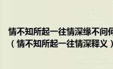 情不知所起一往情深缘不问何灭尘世红渊这句话是什么意思（情不知所起一往情深释义）