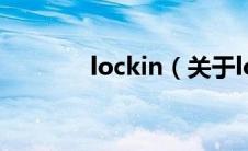 lockin（关于lockin的介绍）