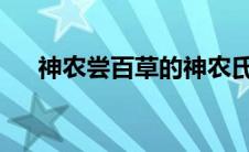 神农尝百草的神农氏是谁(神农氏 是谁)