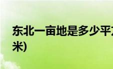 东北一亩地是多少平方米(一亩地是多少平方米)