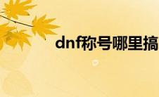 dnf称号哪里搞（dnf称号薄）