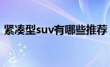 紧凑型suv有哪些推荐（紧凑型SUV有哪些）