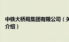 中铁大桥局集团有限公司（关于中铁大桥局集团有限公司的介绍）