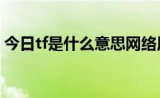 今日tf是什么意思网络用语（TF是什么意思）