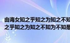 由诲女知之乎知之为知之不知为不知是知也的意思(由诲女知之乎知之为知之不知为不知是知)