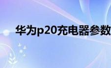 华为p20充电器参数（华为p20充电器）