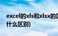 excel的xls和xlsx的区别(Excel xls和xlsx有什么区别)