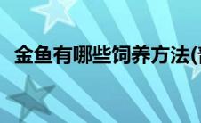 金鱼有哪些饲养方法(普通金鱼的饲养方法)