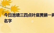 今日池塘三四点叶底黄鹂一两只。哪位诗人写的诗人叫什么名字