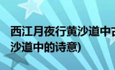 西江月夜行黄沙道中古诗意思(西江月 夜行黄沙道中的诗意)