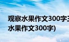 观察水果作文300字三年级红心火龙果(观察水果作文300字)