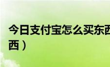 今日支付宝怎么买东西便宜（支付宝怎么买东西）