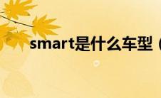 smart是什么车型（smart是什么车）