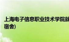 上海电子信息职业技术学院就业(上海电子信息职业技术学院宿舍)