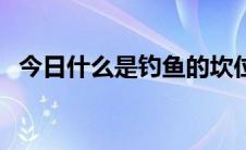 今日什么是钓鱼的坎位（什么是钓鱼网站）