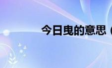 今日曳的意思（摇曳的意思）