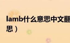 lamb什么意思中文翻译（lamborg是什么意思）