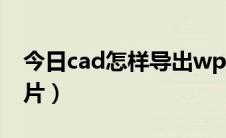 今日cad怎样导出wps表格（cad怎样导出图片）