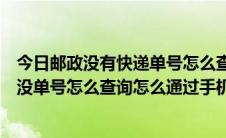 今日邮政没有快递单号怎么查快递手机号码可以查吗（ems没单号怎么查询怎么通过手机号查询EMS快递）