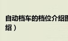 自动档车的档位介绍图解（自动档车的档位介绍）