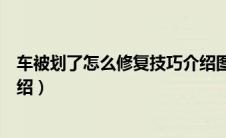 车被划了怎么修复技巧介绍图片（车被划了怎么修复技巧介绍）