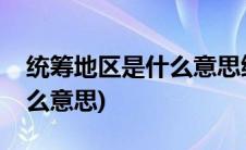 统筹地区是什么意思缴纳养老(统筹地区是什么意思)