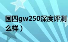 国四gw250深度评测（国四GW250摩托车怎么样）