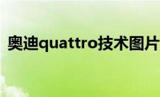 奥迪quattro技术图片（奥迪quattro技术）