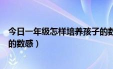 今日一年级怎样培养孩子的数感（如何培养小学一年级学生的数感）