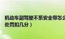 机动车副驾驶不系安全带怎么处罚（副驾驶不系安全带怎么处罚扣几分）