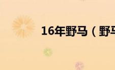 16年野马（野马是什么牌子）