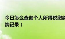 今日怎么查询个人所得税缴纳情况（怎么查询个人所得税缴纳记录）