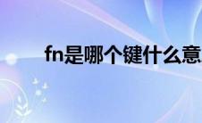 fn是哪个键什么意思（fn是哪个键）