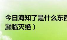 今日海知了是什么东西（海知了是什么为什么濒临灭绝）