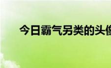 今日霸气另类的头像（霸气另类麦词）