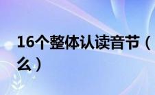 16个整体认读音节（16个整体认读音节是什么）