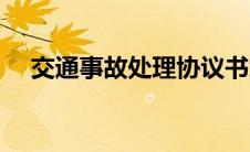 交通事故处理协议书怎么写（交通事故）