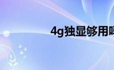 4g独显够用吗（4g独显）