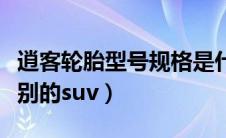 逍客轮胎型号规格是什么（逍客汽车是什么级别的suv）