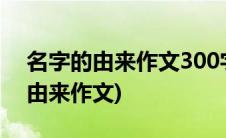 名字的由来作文300字三年级怎么写(名字的由来作文)