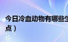 今日冷血动物有哪些生肖（冷血动物有哪些特点）