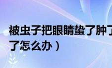 被虫子把眼睛蛰了肿了怎么办（被虫子蛰了肿了怎么办）